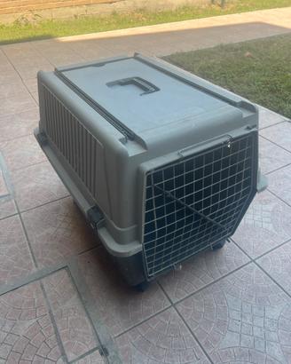 Gabbia plastica per cani