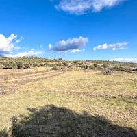 Terreno agricolo di 5 ettari con caseggiato diruto