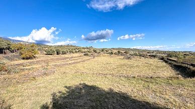Terreno agricolo di 5 ettari con caseggiato diruto
