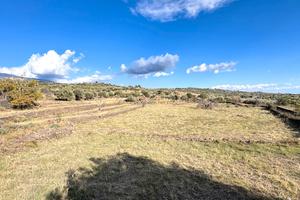 Terreno agricolo di 5 ettari con caseggiato diruto