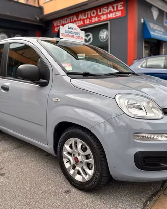 Fiat Panda 1.0 FireFly S&S Hybrid NEOPATENTATI