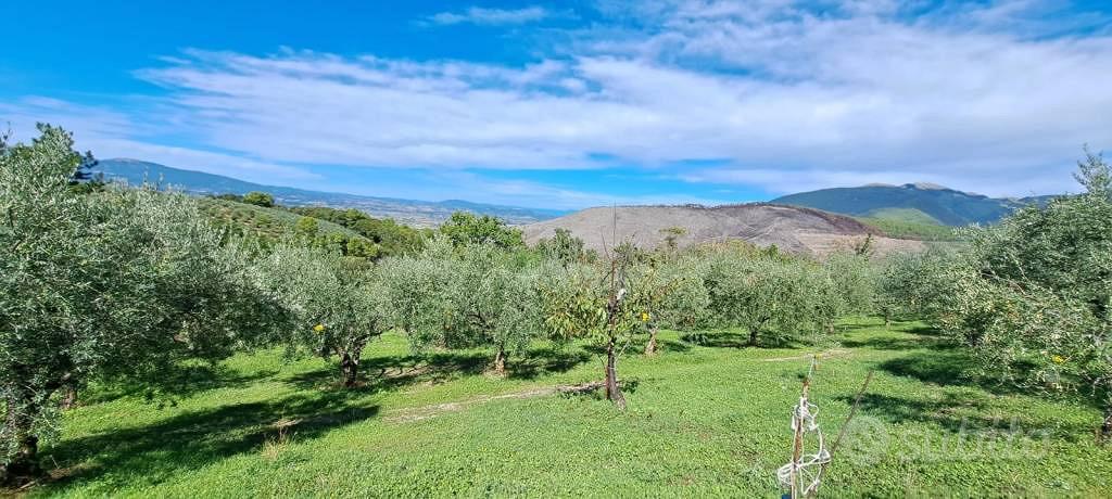 Terreno di 4000 m² a Spoleto - Vista 5