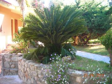 Villetta con 2 piani Solanas(Villasimius) 10 P/l