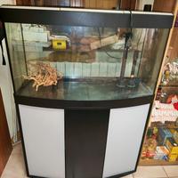 Acquario Askoll sinuo 150