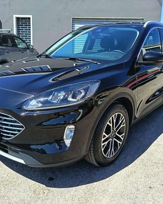 FORD Kuga 2.0 EcoBlue Hybrid 150 CV 2WD Titanium