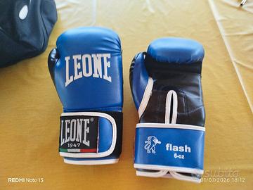 guantoni boxe/kickboxing 