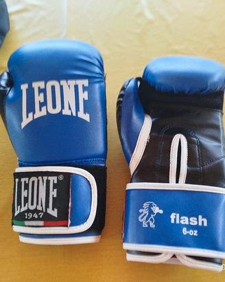guantoni boxe/kickboxing 