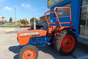 same modello Delfino 35