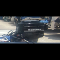 Mercury 20 cv
