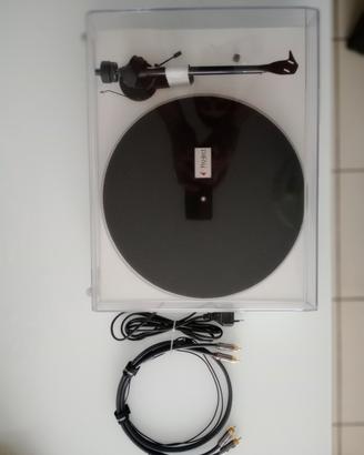 project debut carbon