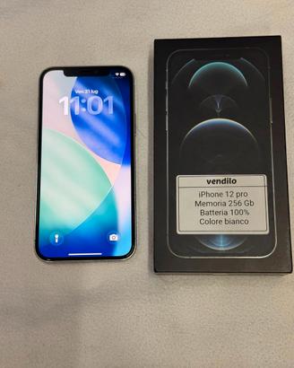 Apple iPhone 12 Pro 256GB Bianco Batteria 100%