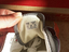 Immagine 2