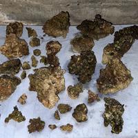 Rocce vive (50kg) prezzo per tutto il pachetto