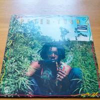 Peter Tosh - Legalize It LP 1a ediz. 1976