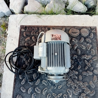 Motore elettrico 1 cv