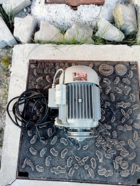 Motore elettrico 1 cv