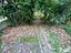 Immagine 26