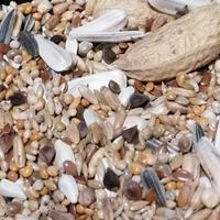 misto semi per parrocchetti 