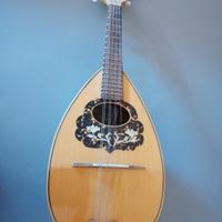 Mandolino-napolit, luteria di Alfredo Privitera