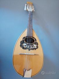 Mandolino-napolit, luteria di Alfredo Privitera