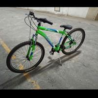 Mountain bike Faema F1000