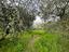 Immagine 12