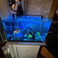 Acquario juwel 60 litri solo vasca