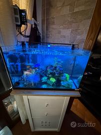 Acquario juwel 60 litri solo vasca