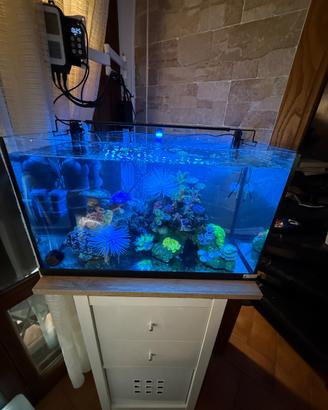 Acquario juwel 60 litri senza coperchio