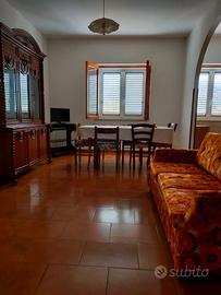 Santa maria del cedro grisolia scalo