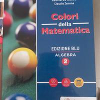 libro algebra "Colori della matematica" 2 