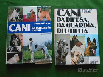 FIORENZO FIORONE LOTTO anche singoli