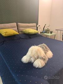 C storico Camere eleganti