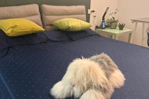 C storico Camere eleganti