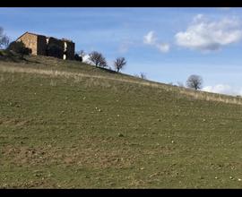 Azienda agricola 28 ettari