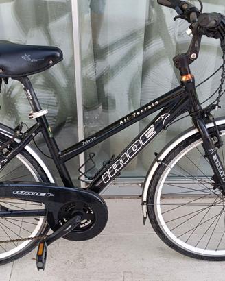 Bicicletta da donna