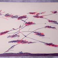 Serigrafia Giulio Turcato Bianca