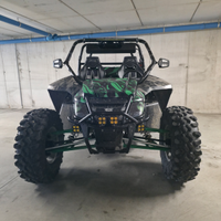 Dune buggy Arctic cat wildcat 1000