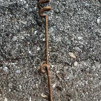 WW1 Coda di porco Reticolato Trincea