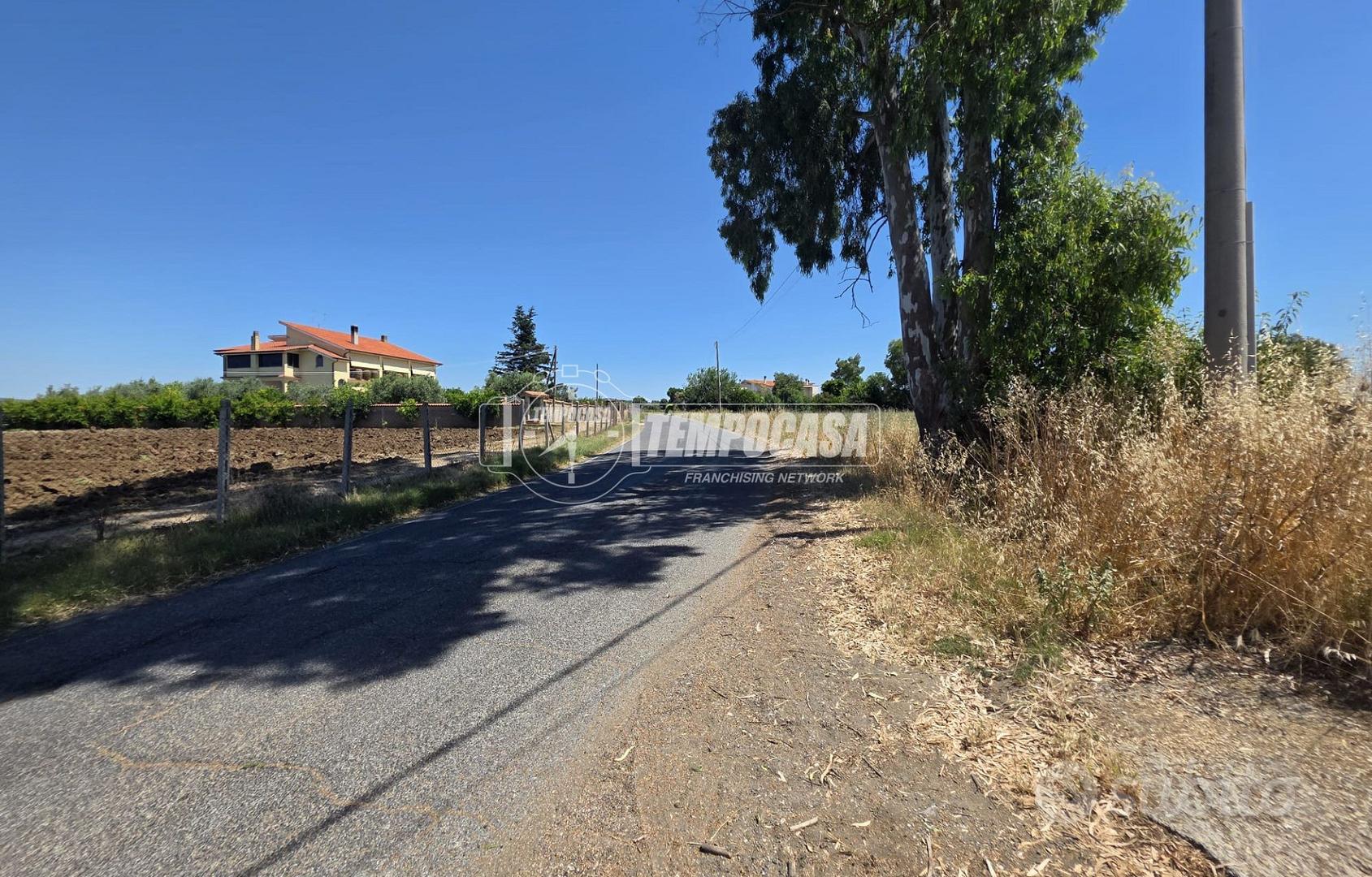 Terreno agricolo - Vista 6