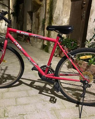 bici Mountain Bike