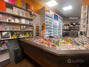 ATTIVITÀ A DESENZANO DEL GARDA