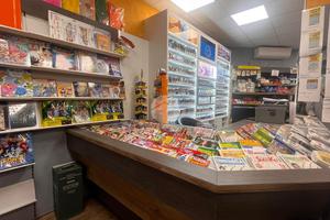 ATTIVITÀ A DESENZANO DEL GARDA