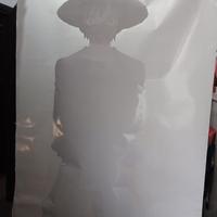 Vetrofania One Piece