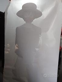 Vetrofania One Piece