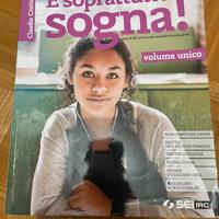 Libro religione scuole medie “e soprattutto sogna”