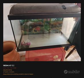 acquario 