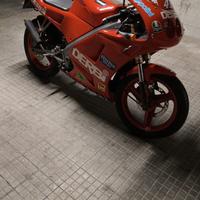 Derbi replica