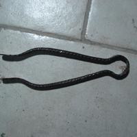 pinza  antica per carboni