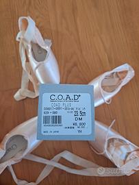 Scarpe da punta danza Chacott